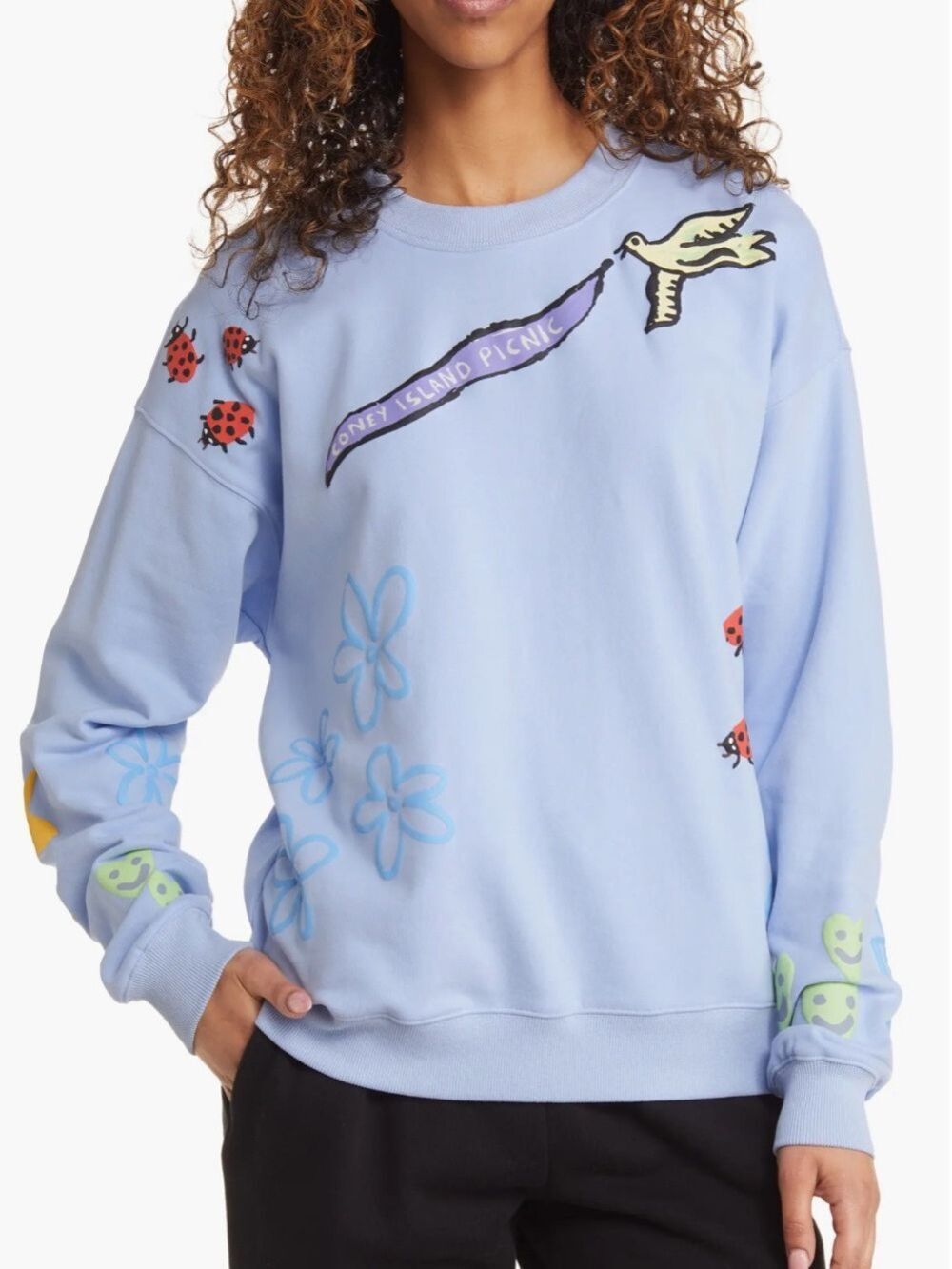 Coney Island Picnic Open Air Crewneck Sweatshirt Sz M Organic Cotton Puff Print